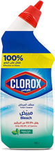 Load image into Gallery viewer, Clorox Toilet Cleaner Bleach
