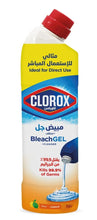 Load image into Gallery viewer, Clorox Citrus Gel Cleaner
