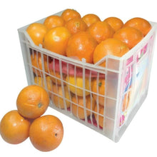 Load image into Gallery viewer, Orange Valenica Egypt
