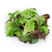 Load image into Gallery viewer, Mesclun Leaves kuwait
