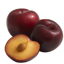 Load image into Gallery viewer, Red Plum Egypt
