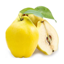Load image into Gallery viewer, Quince Turkey
