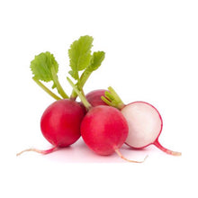 Load image into Gallery viewer, فجل احمر هولندي من أسيل
