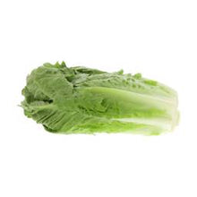 Load image into Gallery viewer, Lettuce Romaine Kuwait
