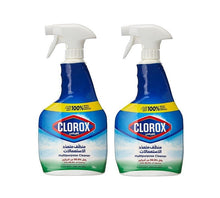 Load image into Gallery viewer, Clorox Multipurpose Cleaner Promo
