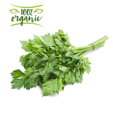 Load image into Gallery viewer, Earth Organic Celery Leaves
