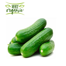Load image into Gallery viewer, Earth Organic Cucumber Kuwait
