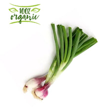 Load image into Gallery viewer, Earth Organic Spring Onion Kuwait
