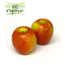 Load image into Gallery viewer, Natureland Organic Gala Apples Italy
