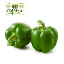 Load image into Gallery viewer, Earth Organic Green Capsicum Kuwait
