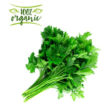 Load image into Gallery viewer, Earth Organic Parsley Kuwait
