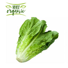 Load image into Gallery viewer, خس طويل كويتي عضوي من أرض 
