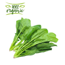 Load image into Gallery viewer, Earth Organic Spinach Kuwait
