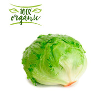 Load image into Gallery viewer, Earth Organic Iceberg Lettuce Kuwait
