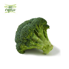 Load image into Gallery viewer, Natureland Organic Broccoli
