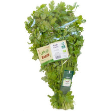 Load image into Gallery viewer, Earth Organic Coriander Kuwait
