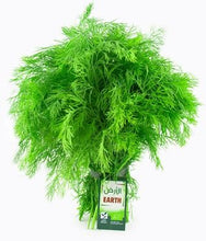 Load image into Gallery viewer, Earth Organic Dill Kuwait
