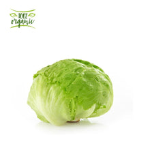 Load image into Gallery viewer, خس آيس بيرغ عضوي من أرض الطبيعة
