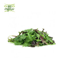 Load image into Gallery viewer, Natureland Organic Mixed Baby Leaves
