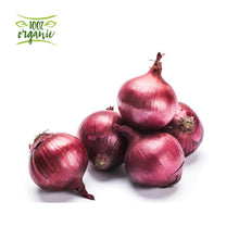 Load image into Gallery viewer, Natureland Organic Red Onions
