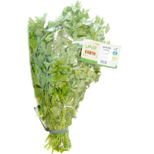 Load image into Gallery viewer, Earth Organic Parsley Kuwait
