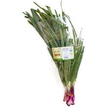 Load image into Gallery viewer, Earth Organic Spring Onion Kuwait
